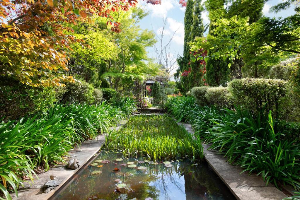 Winston Cottage At Three Sisters 肯图巴 外观 照片
